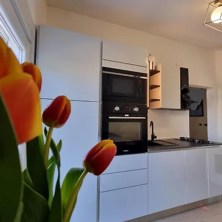 Spuki Appartement Zadar